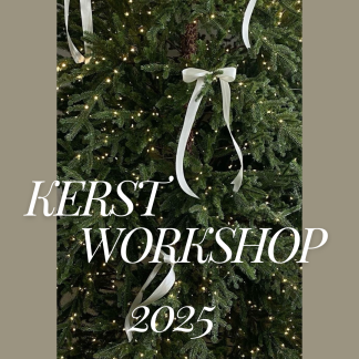 Kerstworkshop - Donderdag 04-12-2025