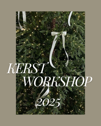 Kerstworkshop - Donderdag 04-12-2025
